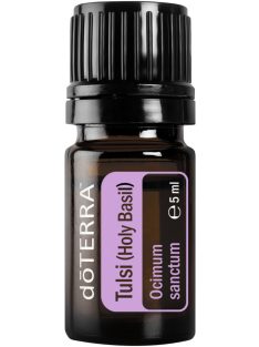 doTERRA Tulsi – Bazalka posvätná (Ocimum sanctum)